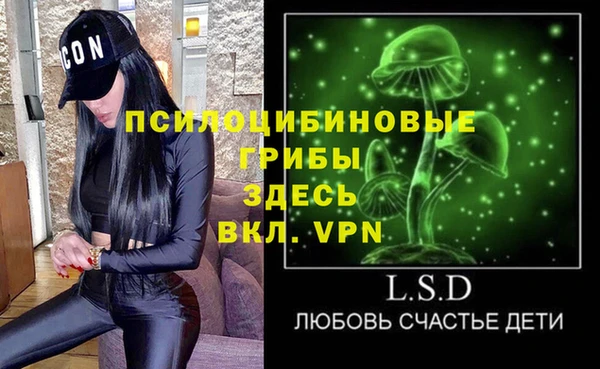 мяу мяу мука Надым