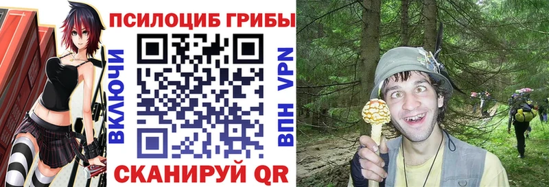 Псилоцибиновые грибы прущие грибы  Остров 